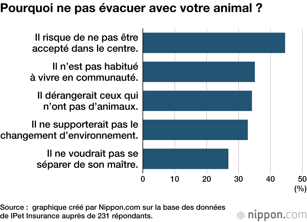 Pourquoi ne pas évacuer avec votre animal ?