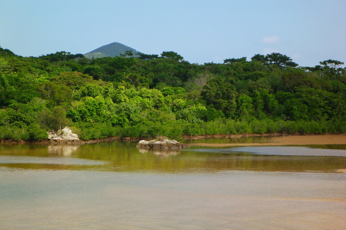 名藏网张是候鸟中转地（石垣岛） ©OCVB
