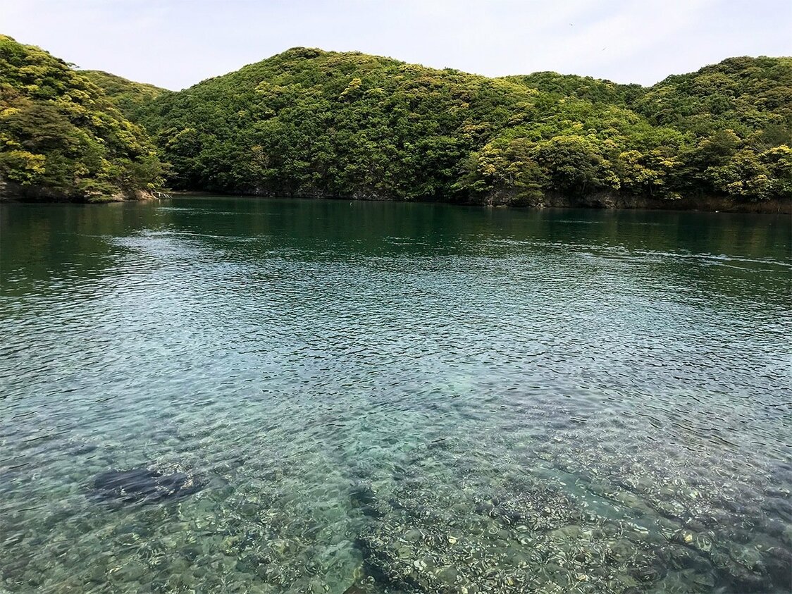 美しい対馬の海