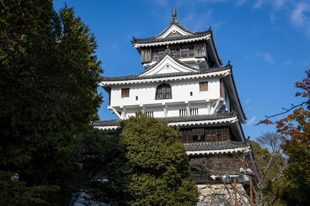 岩国城堡重建时，十分重视从山麓仰望时的景观。进入明治时代后，岩国被正式认定为“藩”