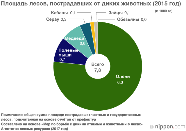 Бунт диких животных (часть первая)