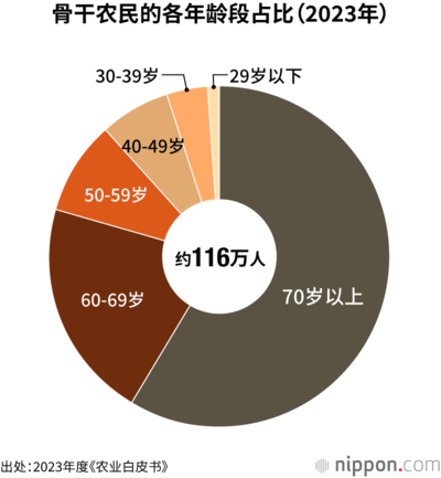 骨干农民的各年龄段占比(2023年)