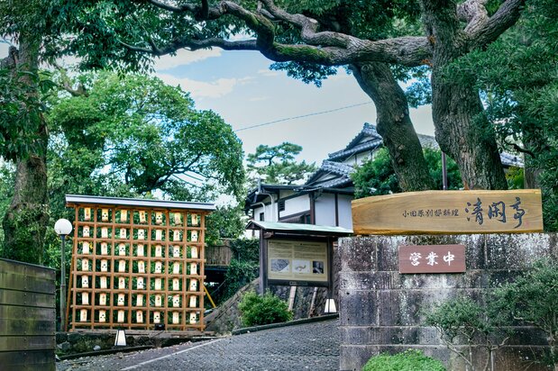 緑に包まれた清閑亭入り口。左側の門前飾りは、季節に合わせて年に4回入れ替えているという