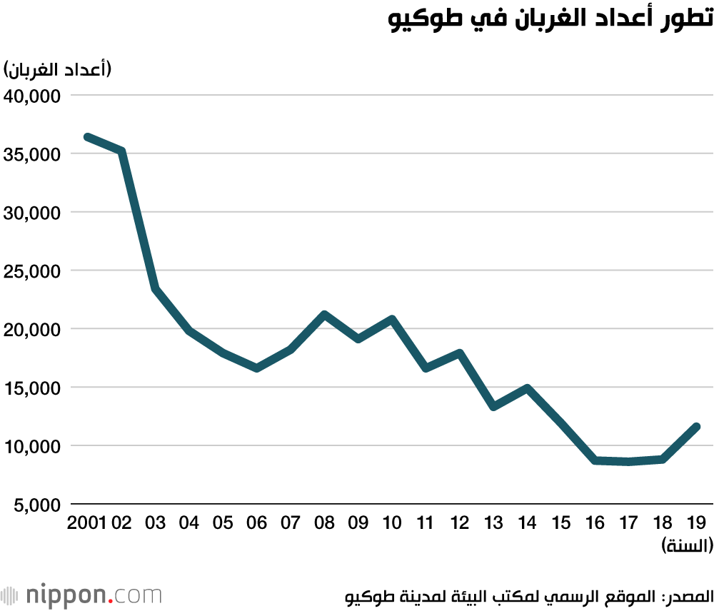 ذكاء الغراب الذي حير العلماء... قريب جدًا من البشر في السراء والضراء في اليابان!