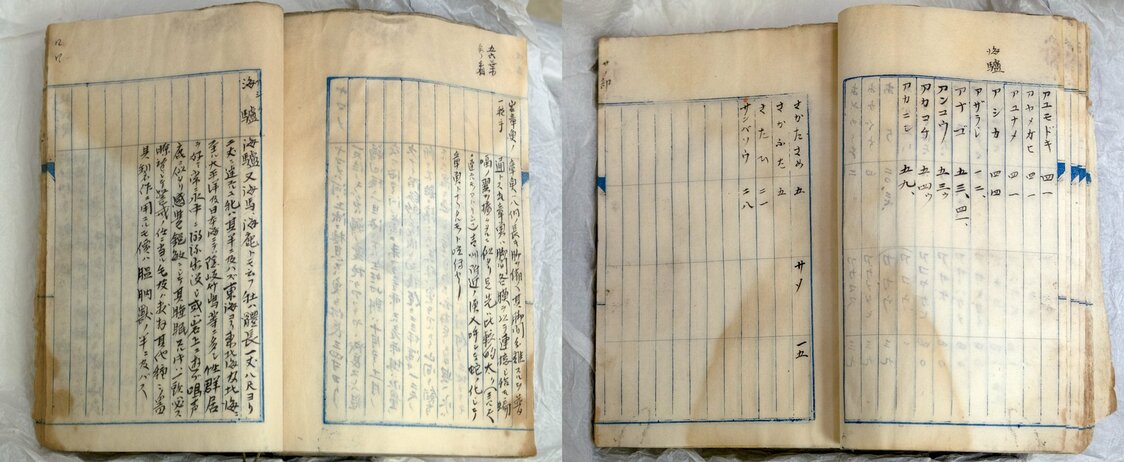 En una caja de pertenencias de su bisabuelo encontró una anotación sobre un “león marino” en un cuaderno. (© Michiko Hayashi)