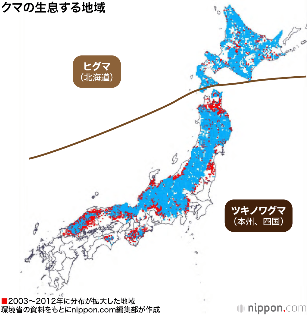 クマの出没情報が増加：2019年度の捕獲数は7割増の6285頭