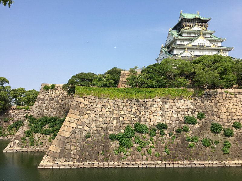 (©cmeg.jp)