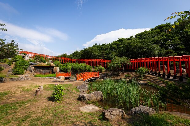 在水池對岸眺望千本鳥居,景象也很迷人