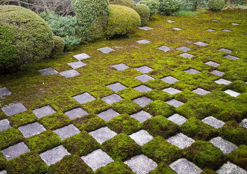 El jardín Honbō tiene en su zona septentrional una parte en la que el musgo y las piedras están diseñados a imagen y semejanza de los escaques de un tablero de ajedrez.