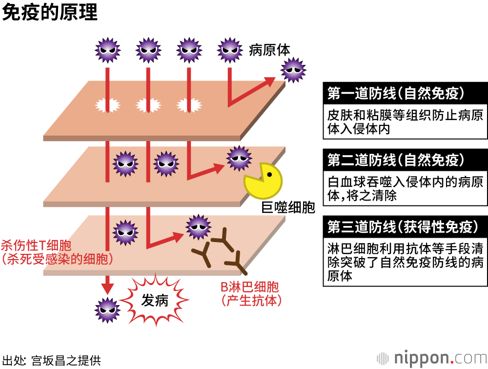 第二波疫情“可以平息”，习惯“新日常”，时刻自我警醒——访大阪大学名誉教授宫坂昌之