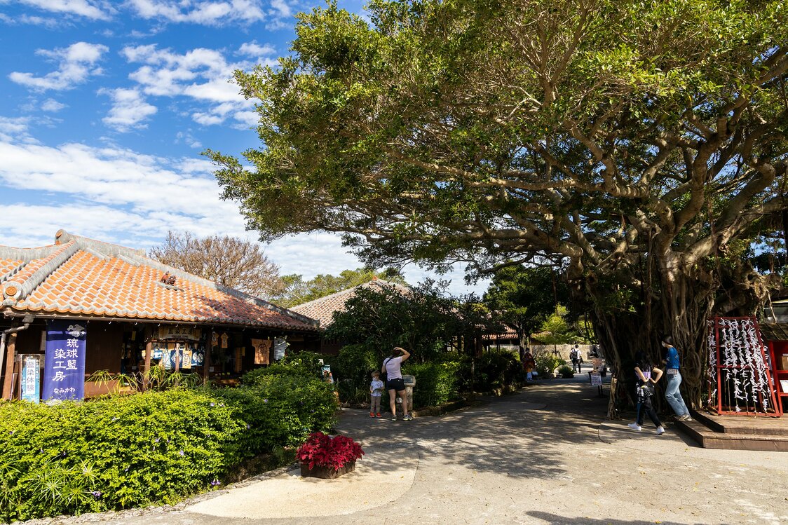 En la ciudad castillo del Reino de Ryūkyū se han trasladado las casas antiguas registradas como bien cultural tangible nacional y otras instalaciones. Puede ser un buen entretenimiento buscar los shīsā repartidos entre los tejados y en las puertas.