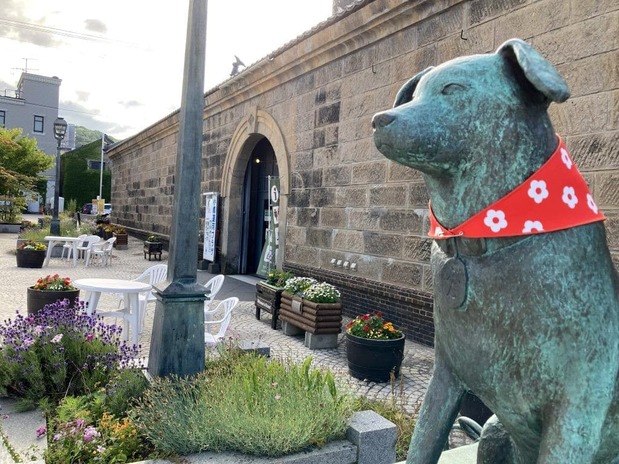 La estatua de bronce de Bunkō luciendo una pañoleta de diseño floral donada por un ciudadano de Otaru. (Fotografía: Yoshida Rieko)