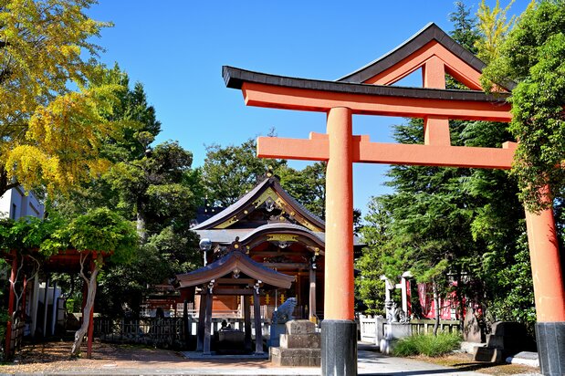 旧水戸街道は新宿で枡形に迂回(うかい)しており、それに沿ってL字型の町を形成していたという。その南には、江戸周辺図にも記されている山王大権現が鎮守として祀られていた。明治期に日枝神社と名を変え、現在でも同じ場所に残る
