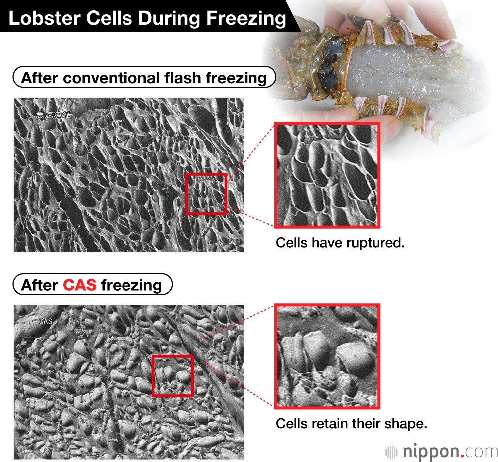 Freezing to Save Flavor . . . and Life on Earth? A Look at Abi’s CAS Technology
