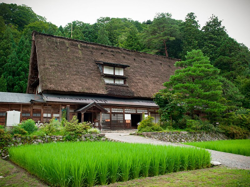Parmi les deux villages, voici la maison en toit de chaume la plus grande, la demeure de la famille Iwase.