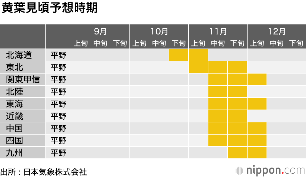 気温高く、紅葉は平年並み～遅め : イチョウ並木の黄色のじゅうたんは11月