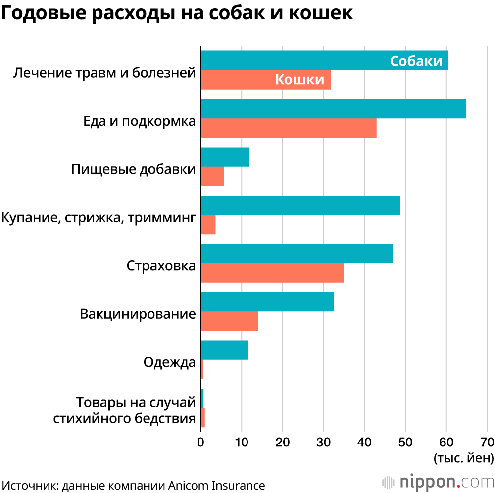 Расходы на домашних животных в Японии: собаки обходятся вдвое дороже кошек