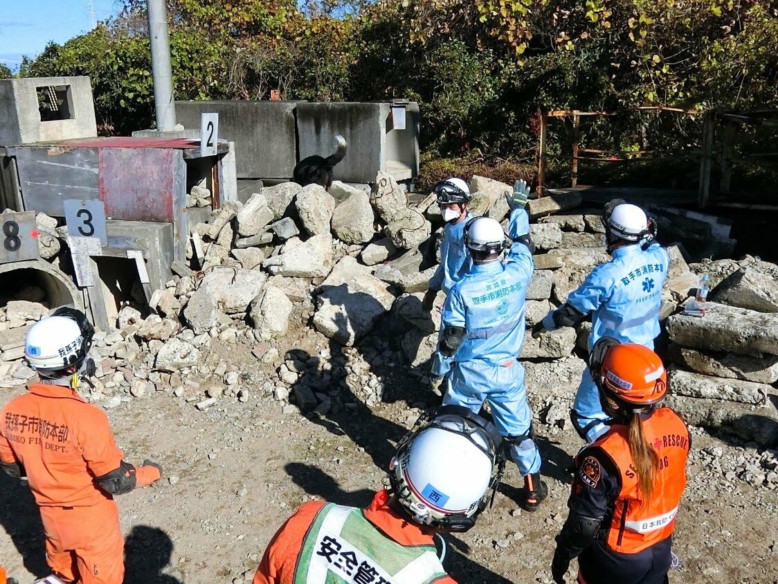 2023年12月6日に実施された取手・我孫子消防との合同訓練でがれきの中を捜索するココ