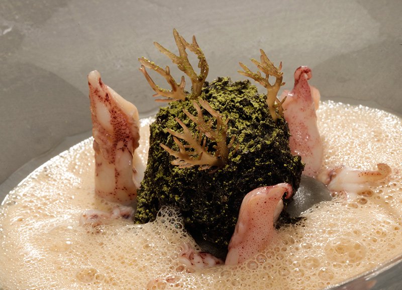 皿中央の岩は玉ねぎ、海藻、イカスミで作り、抹茶を苔に見立てたイカ料理