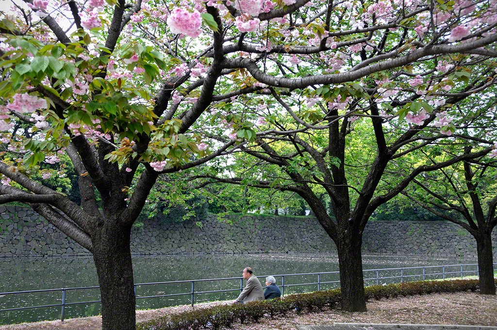 La douve du Palais Impérial, Chiyoda-ku, Tokyo