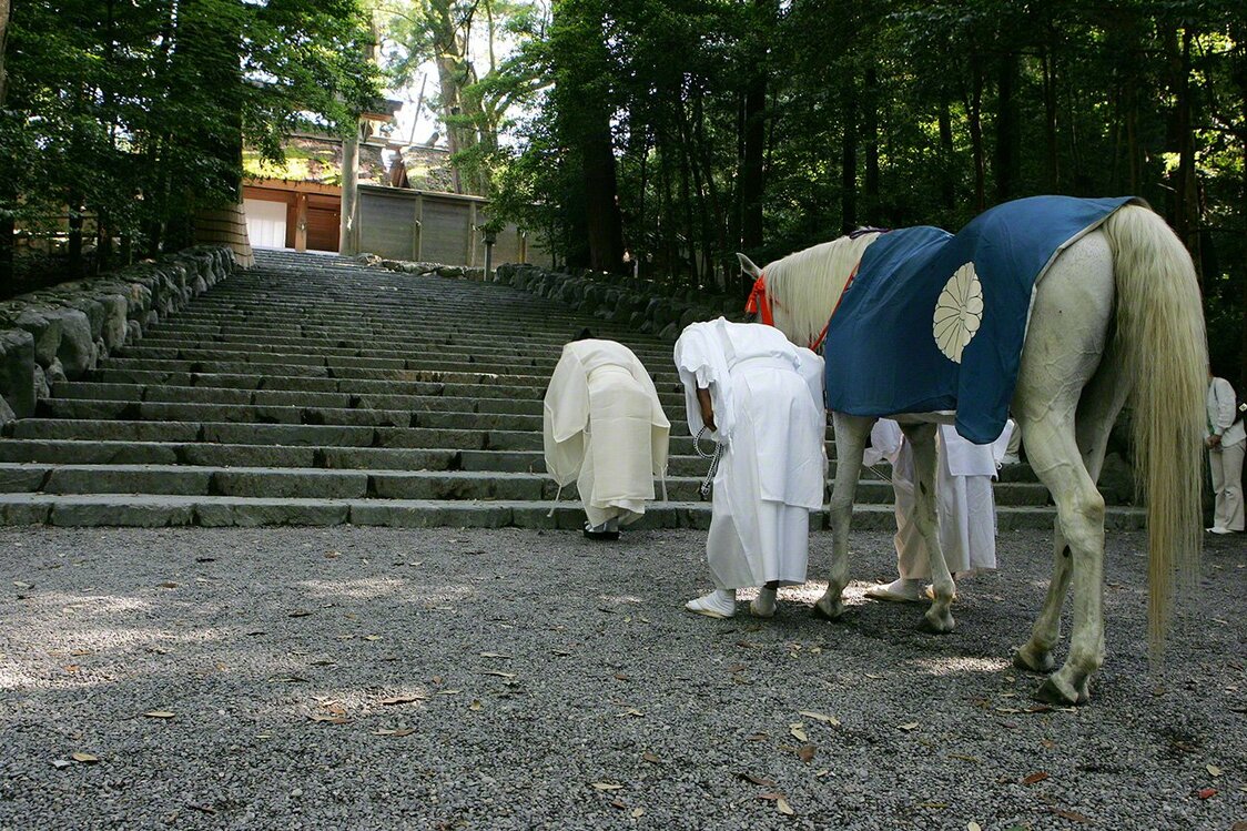 7月11日　“神马牵参”。“神马”是由皇室赠与的侍奉神灵之马，每月1、11、21日，神马都要被牵到拜殿的石阶下低头参拜