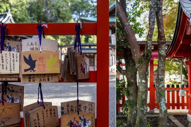 Izquierda: deseos relacionados con los caballos. Derecha: el árbol sagrado Renri no Masakaki, con dos troncos unidos.