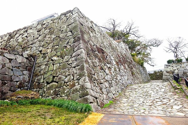 警固所があったとされる福岡城址の丘。この城は、後の1601年に黒田長政らの手によって築かれた（筆者撮影）