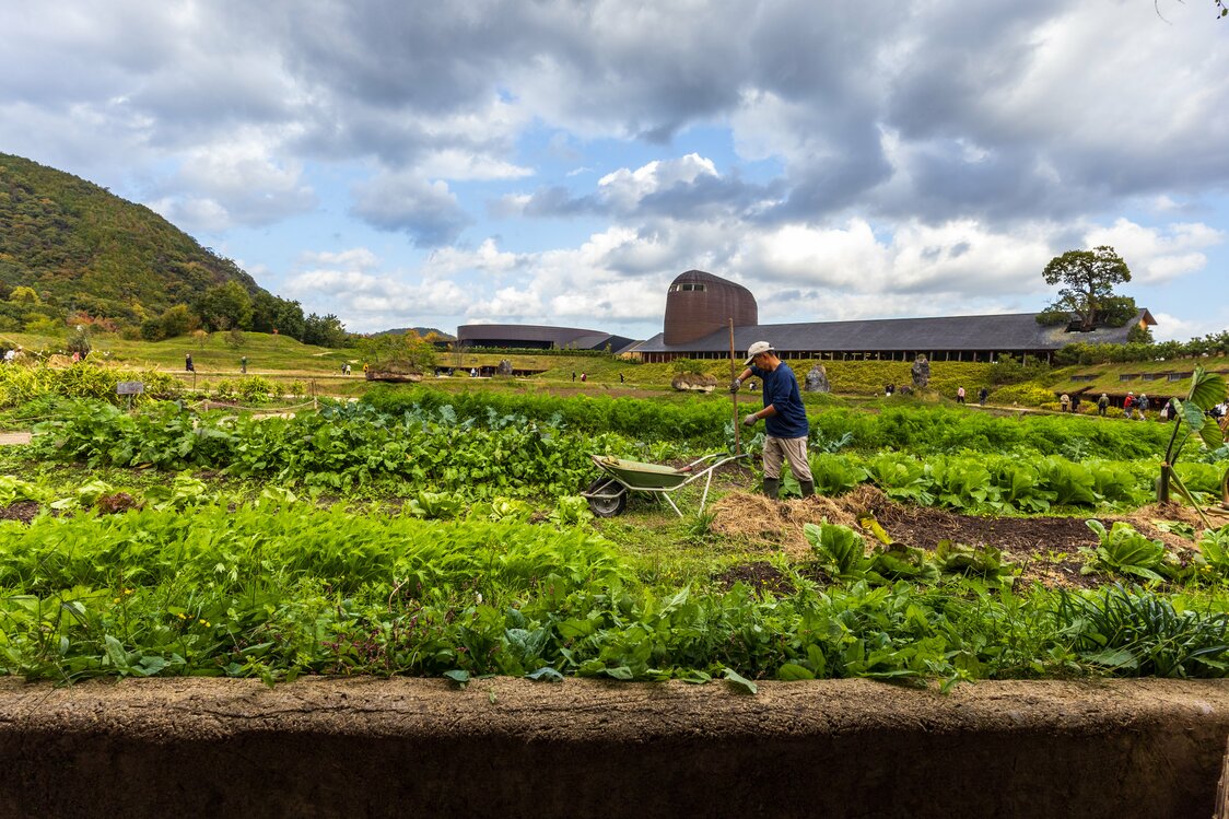 Employees harvest the crops themselves. (© Nippon.com)