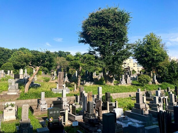El cementerio Somei, de hermoso panorama, es punto de encuentro para avistadores de pájaros y pensionistas locales junto a la estación de Sugamo. (© Gianni Simone)