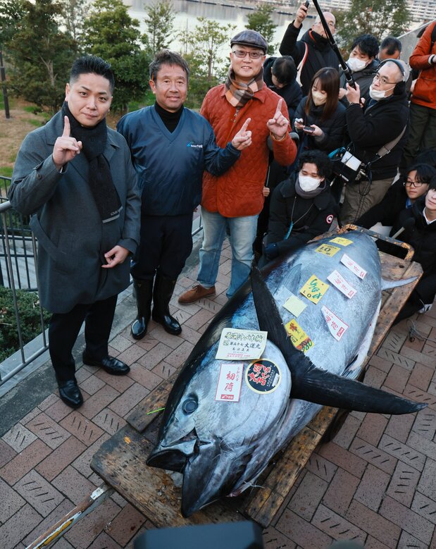 1億1424万円で落札された2024年の一番マグロ。頰には最高峰ブランドの証し「大間まぐろ」のシールが貼られている 時事