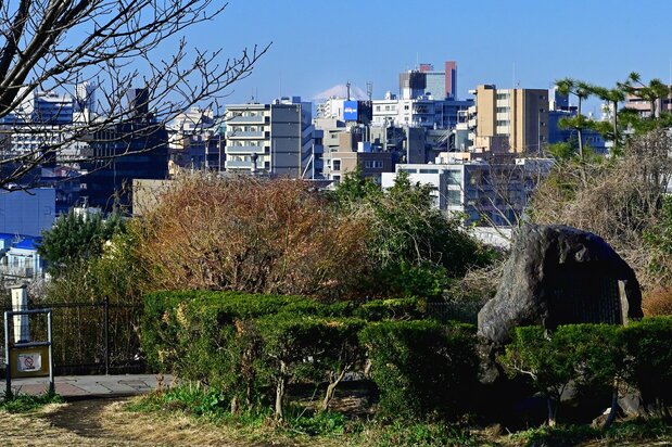 目黒元富士跡近くの西郷山公園からは、今でも辛うじて富士山が拝める