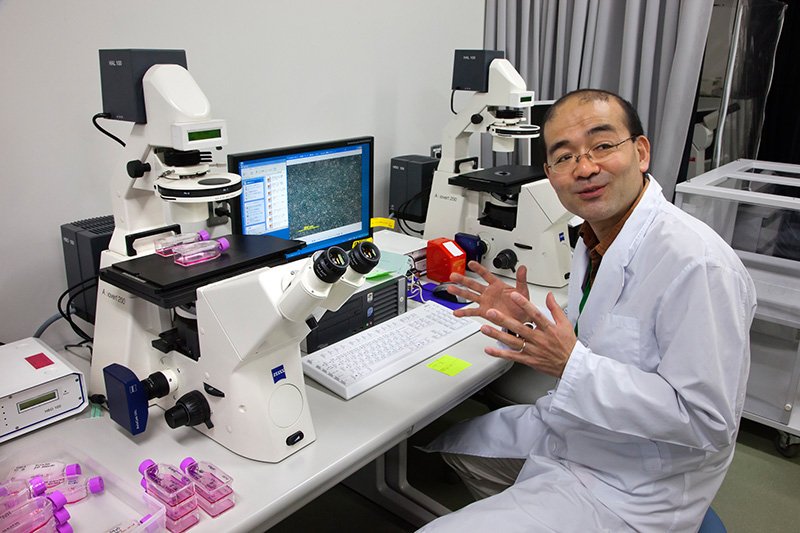 Le docteur Ônuma travaille à la préservation d’échantillons de cellules et de gènes provenant d’espèces menacées d’extinction.