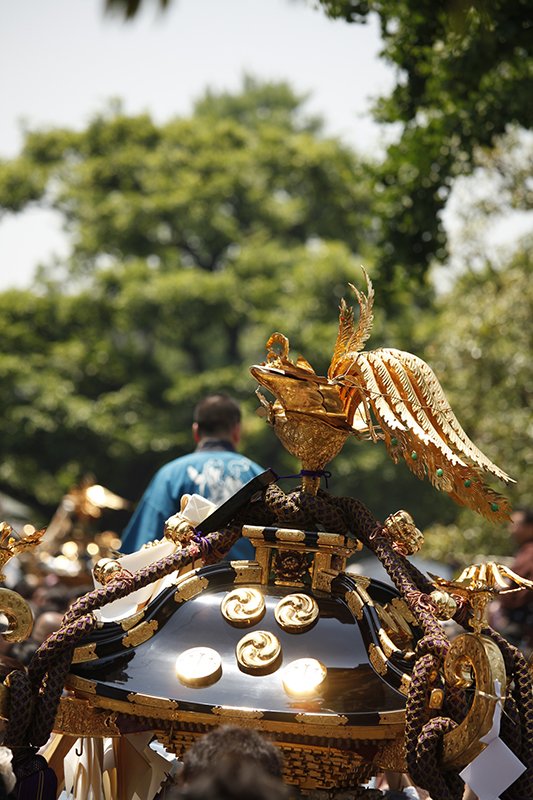 A “mikoshi” glints in the afternoon sunlight.