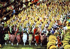 写真提供＝徳島市観光協会