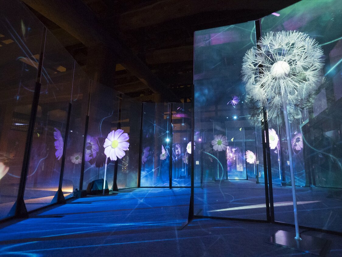Scents of cosmos and dandelions waft through the kitchens. Blow on the blossoms in these three-dimensional video installations and their seeds and petals fall away.