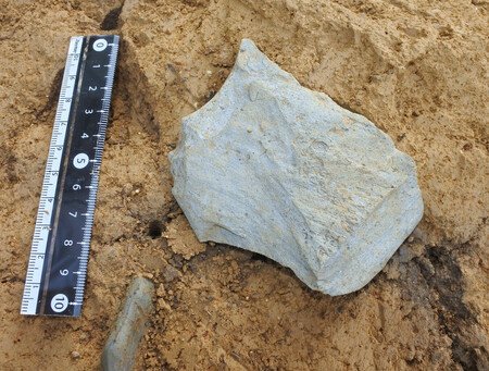 A stone tool point believed to be from 42,300 years ago excavated from the Kanmuri ruins in the city of Hatsukaichi, Hiroshima Prefecture, western Japan, pictured in September 2024 (Courtesy of Sadakatsu Kunitake, chief researcher at the Nara National Research Institute for Cultural Properties)