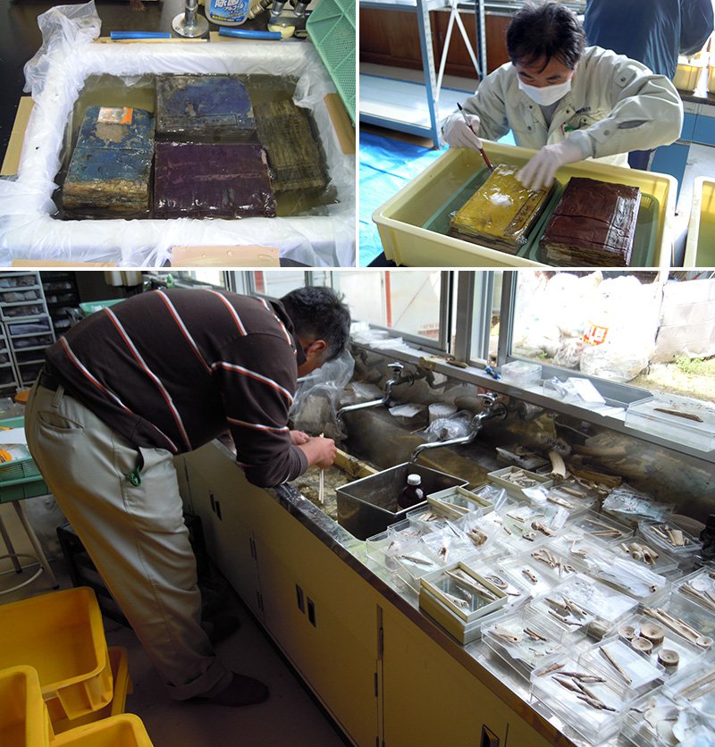 The recovered items, after being moved to a safe site, have been undergoing stabilization treatment to keep them from deteriorating further. Top row: old documents being disinfected (left) and cleaned. Bottom: cleaning of archaeological properties.