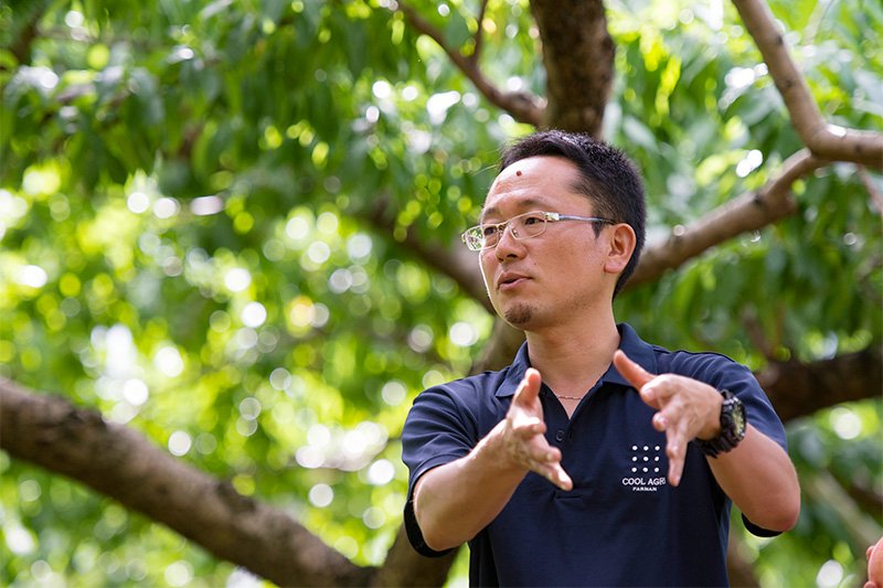 全世界最甜？破世界纪录的蜜桃