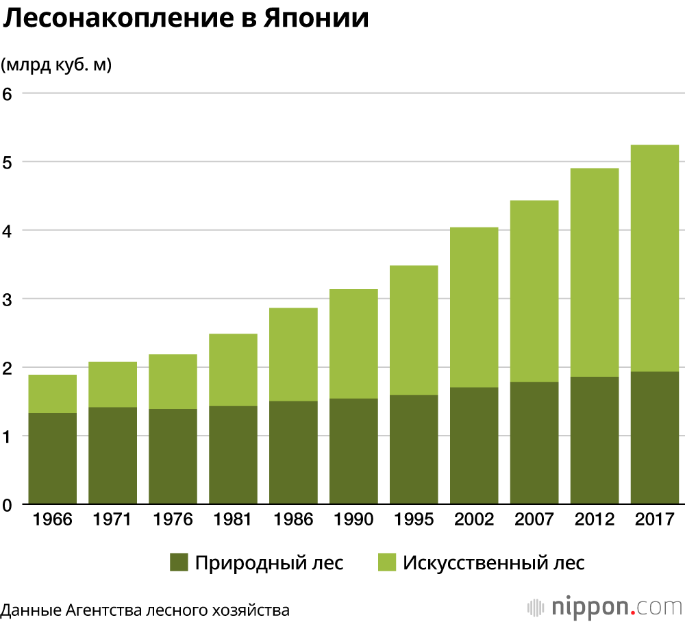 Лесные ресурсы Японии выросли втрое за 50 лет