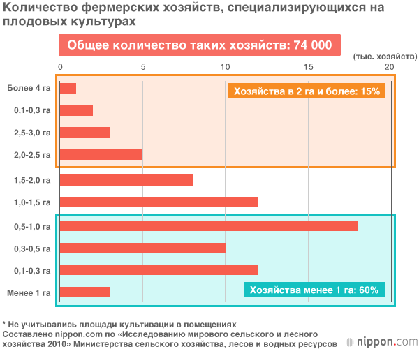 Почему японские фрукты такие дорогие?