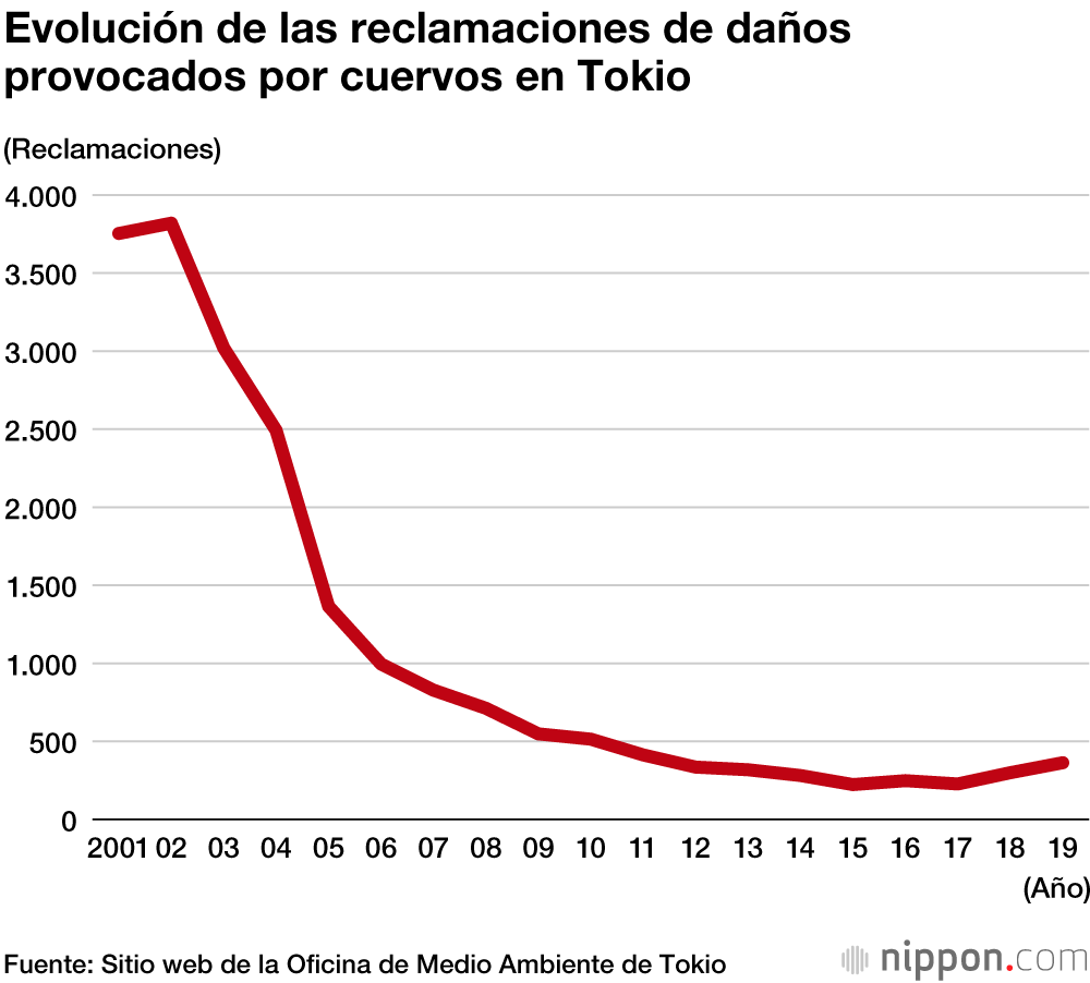 Los cuervos, pájaros sabios que viven junto a las personas