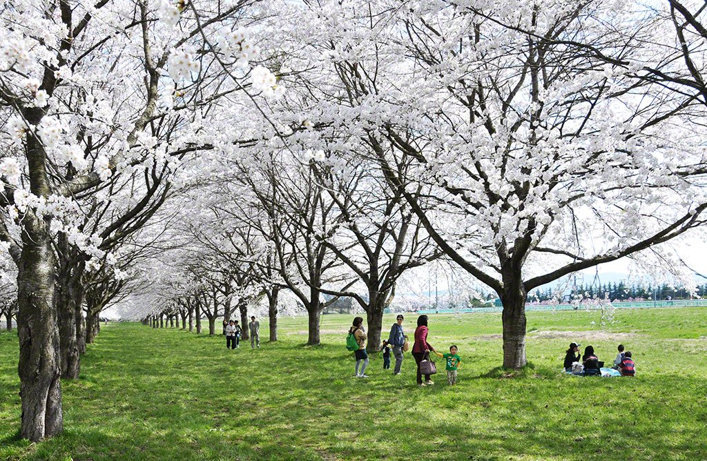 Hippodrome de Mizusawa, Mizusawa-ku, Ôshû, Préfecture d’Iwate