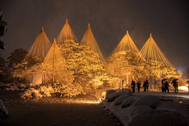 Yukizuri illuminated at night in Kenrokuen. (© Pixta)