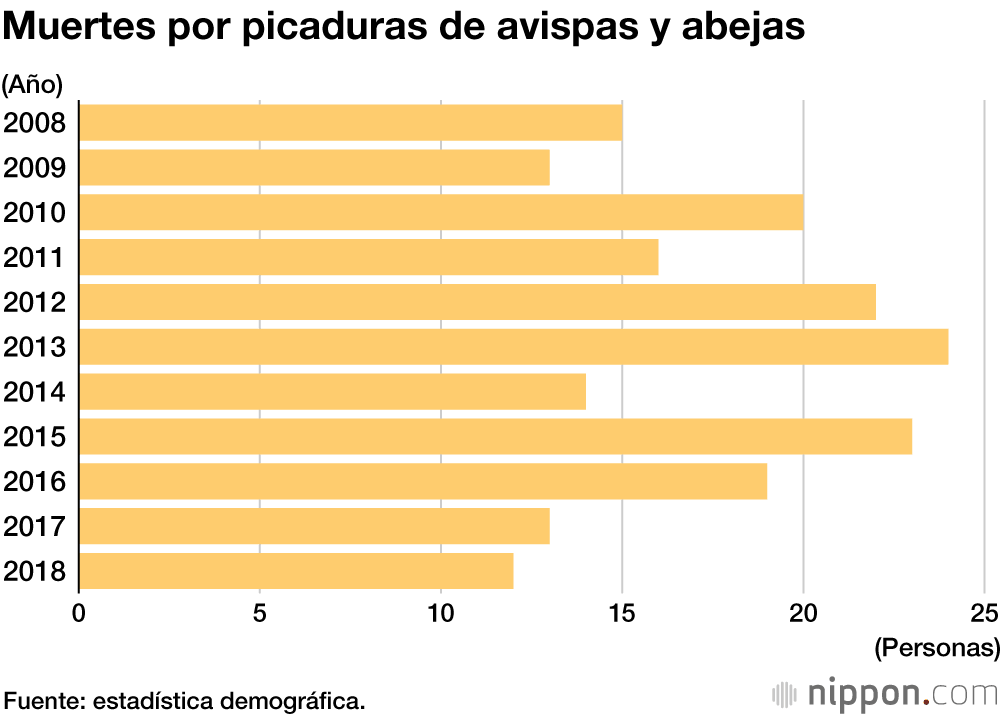 Las avispas en Japón, más mortíferas que los osos y las serpientes
