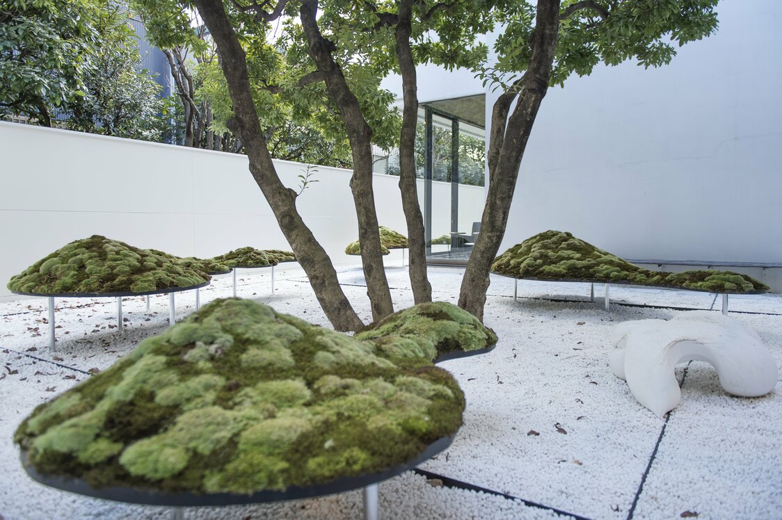 Art directors Kawakami Shun and Kaneko Kazuki collaborated with flower artist Tanaka Takayuki and garden designer Ono Yutaka on the garden.