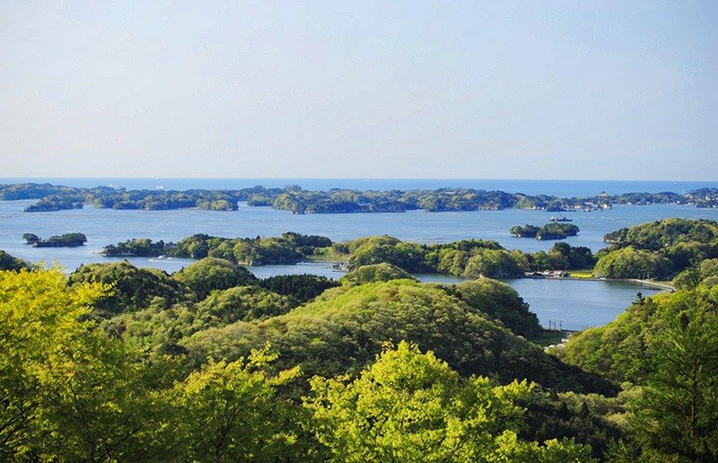 Les contours voluptueux des îles dans un entrelacs magique (Photo avec l’aimable autorisation de l’Office de tourisme de Matsushima)