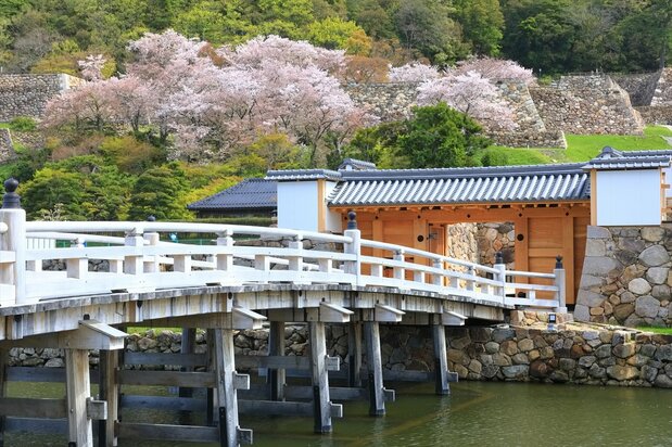 Le pont de Giboshi reconstruit (Pixta)