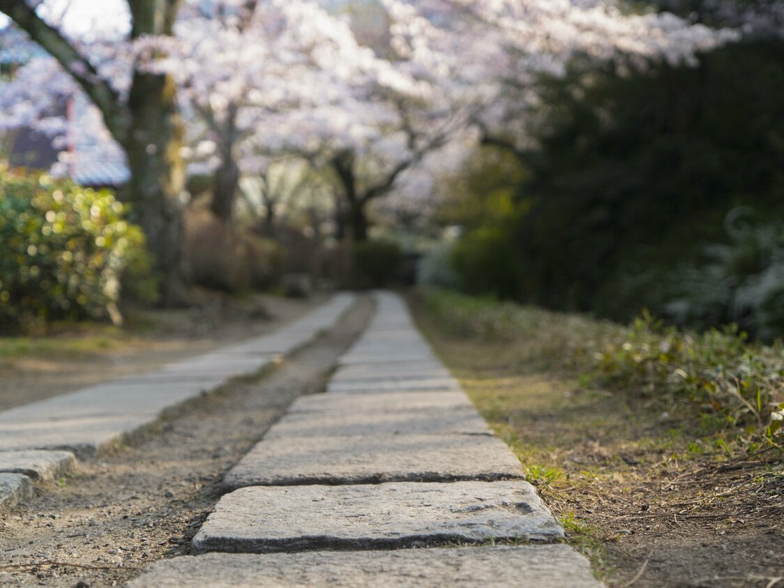 The Philosopher’s Walk was paved with stones in 1987.