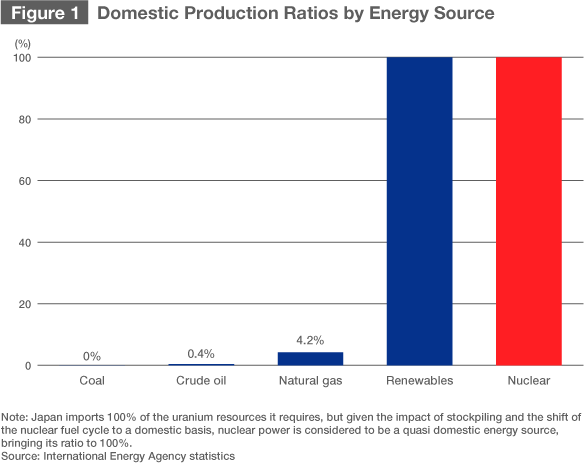 Figure 1: Domestic Production Ratios by Energy Source