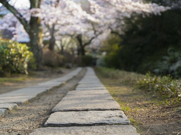 The Philosopher’s Walk was paved with stones in 1987.